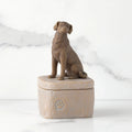Front: gray square resin box with lid, 3-D figure of dark color dog atop lid